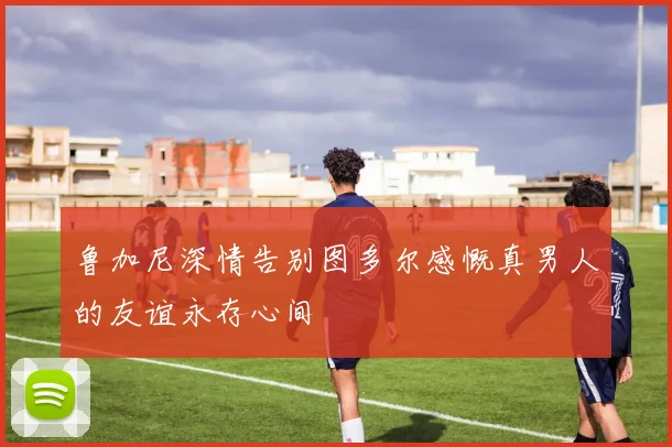 鲁加尼深情告别图多尔感慨真男人的友谊永存心间