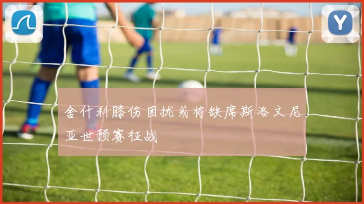 舍什科膝伤困扰或将缺席斯洛文尼亚世预赛征战