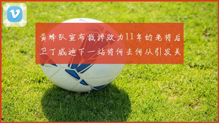 黄蜂队宣布裁掉效力11年的老将后卫丁威迪下一站将何去何从引发关注