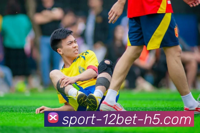 12bet平台生态图